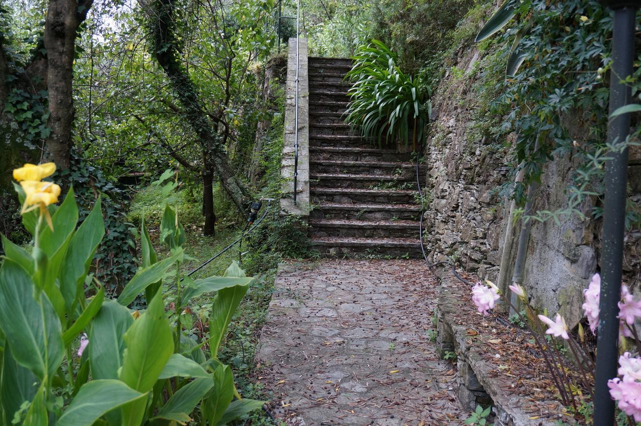 Casa Del Nespolo Villa Zoagli Bagian luar foto